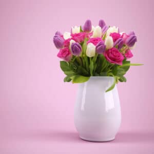 Pflanzen und Blumen