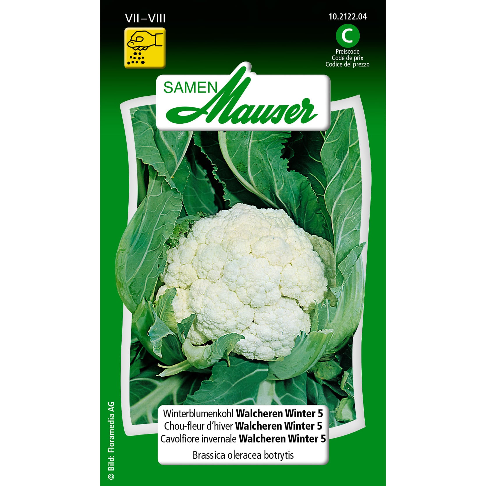 Winterblumenkohl Walcheren