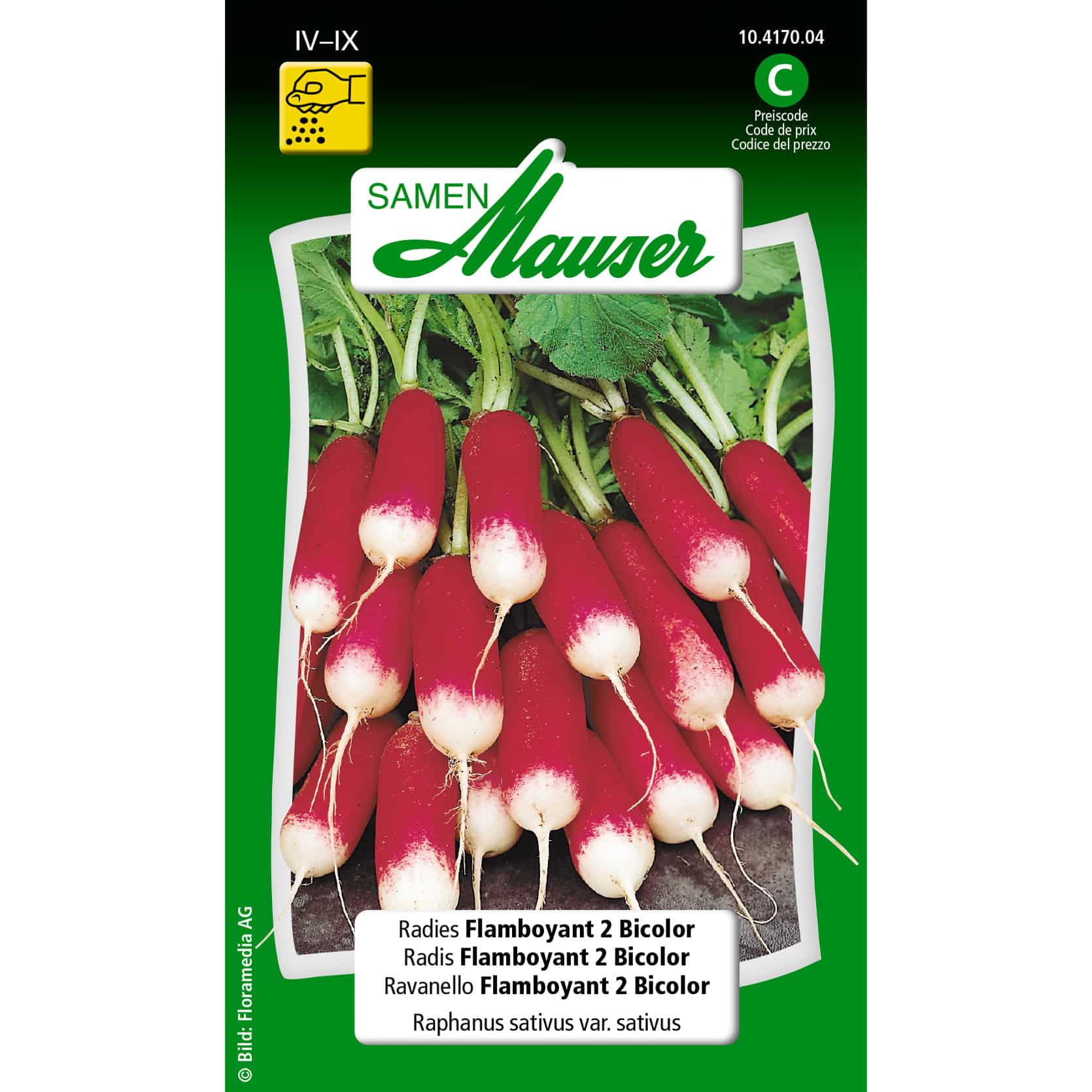 Radies Flamboyant 2 Bicolor