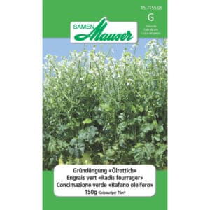 Gründüngung Oelrettich