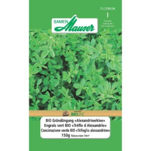 BIO Gründüng. Alexandrinerklee