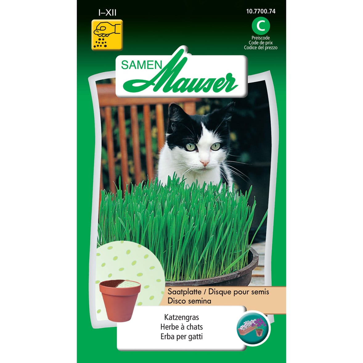 Saatplatte Katzengras