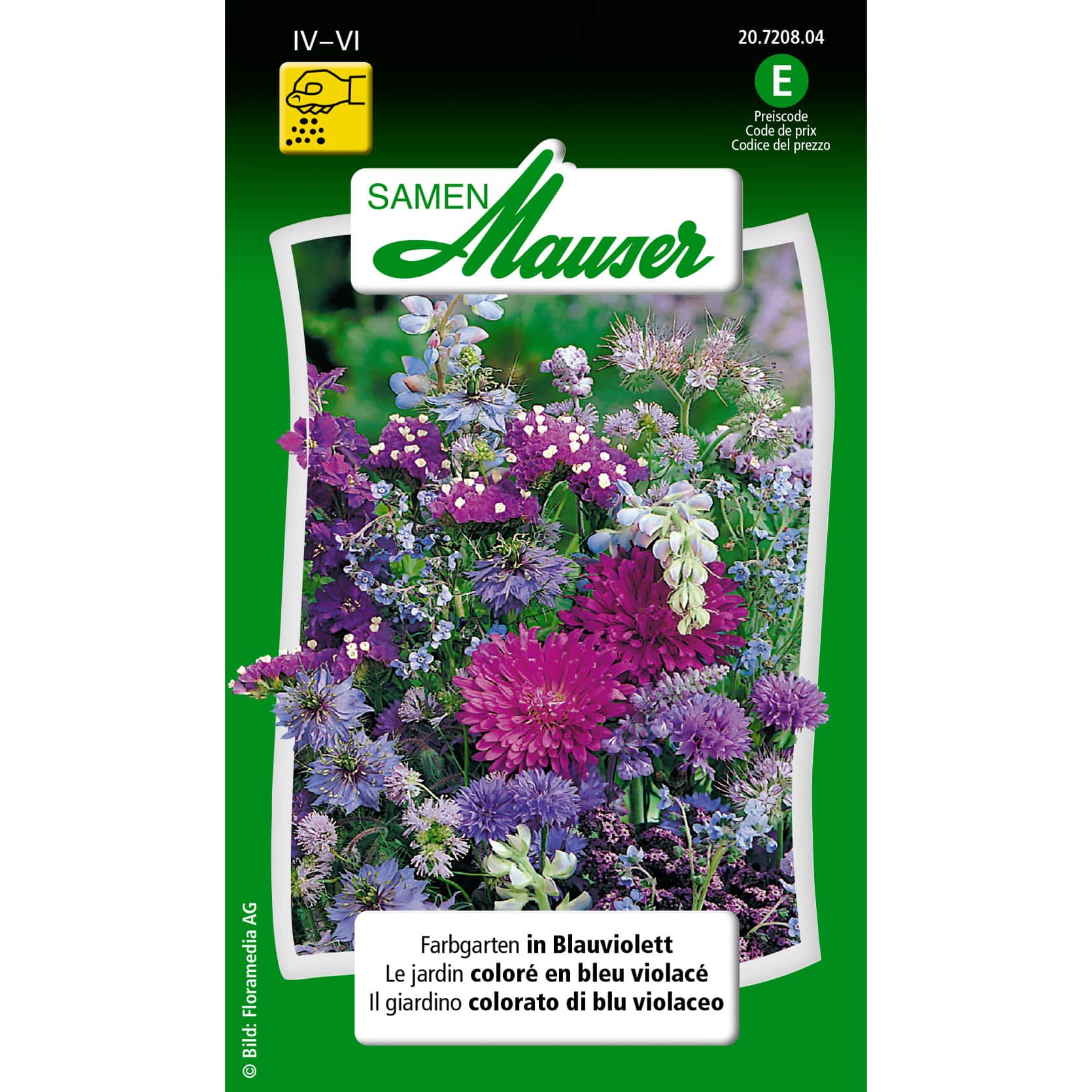 Farbgarten blauviolett