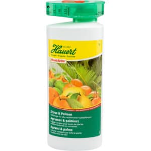 Zitrus & Palmen (flüssig) 1 Liter