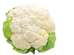 Blumenkohl Setzling