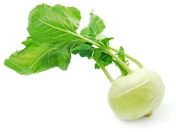 Kohlrabi weiss Setzling