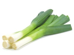 Lauch Setzling