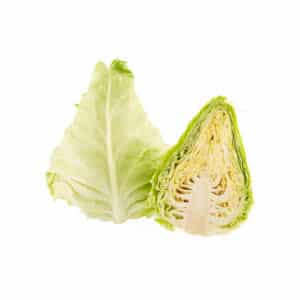 Spitzkohl Setzling